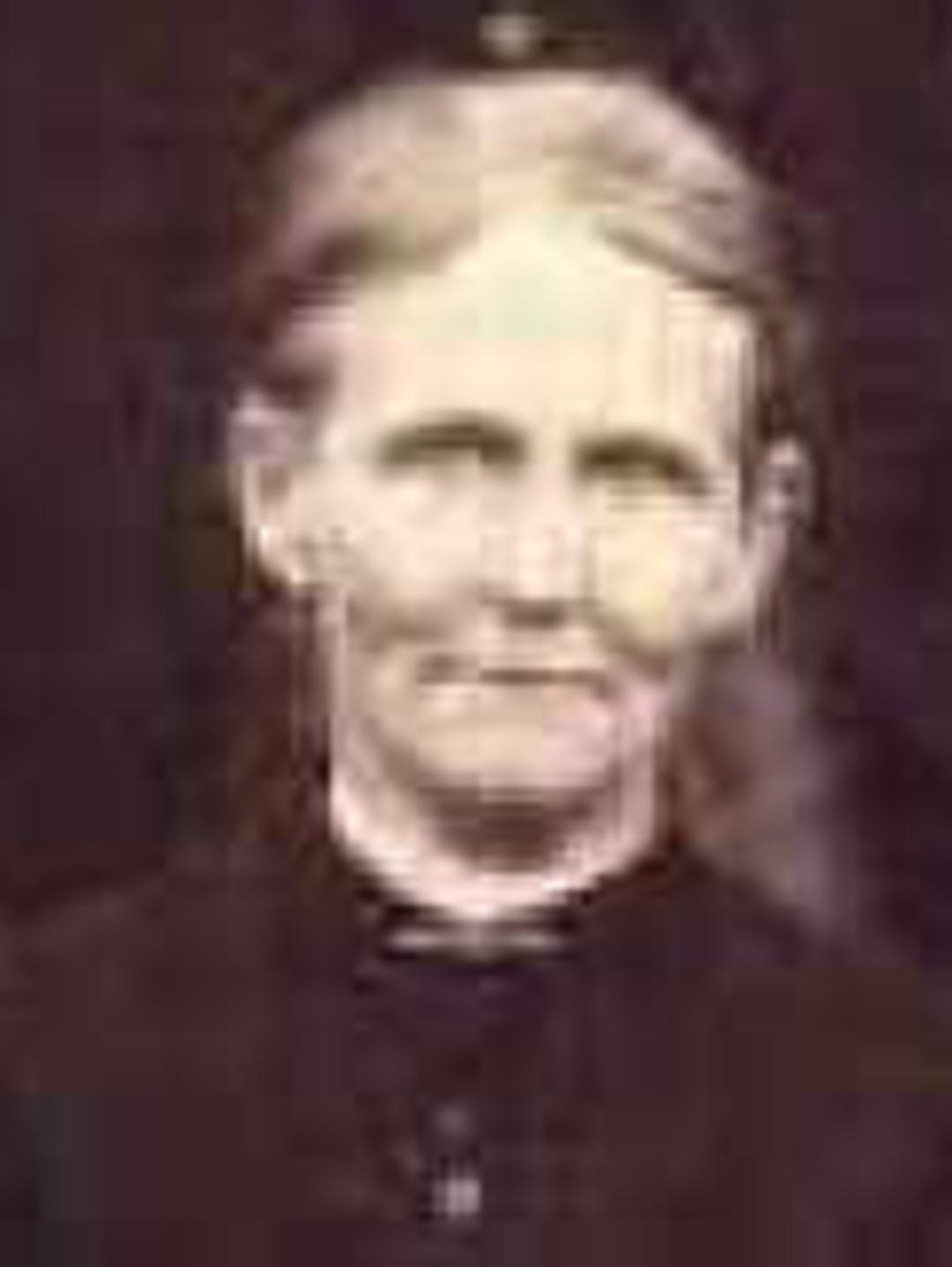 Abigail Ardilla Childs (1835 - 1915) Profile